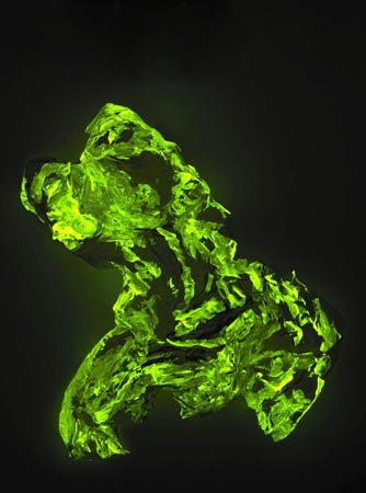 large image